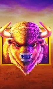 Buffalo King